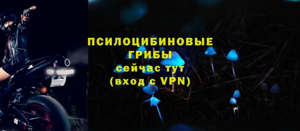 дмт Абаза
