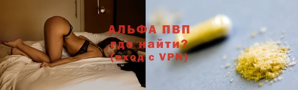 дмт Абаза