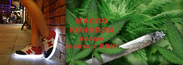 прущие грибы Алзамай